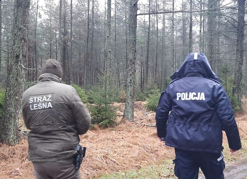 Wspólne działania policjantów i strażników leśnych Wiadomości