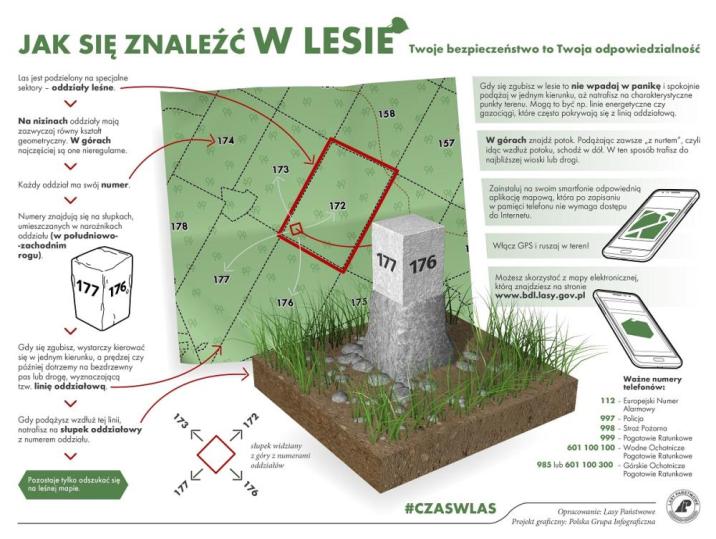 Na zdjęciu karta przedstawiająca funkcję i opis słupków w lesie.