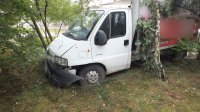 Samochód, który uderzył w drzewo
