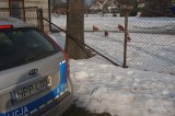 Policjanci sprawdzają czy hodowcy drobiu nie łamią przepisów