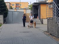 Policjanci przeprowadzają ewakuację