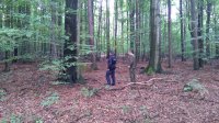 Działania strażników i policjantów