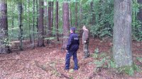 Policjanci i strażnicy w czasie działań