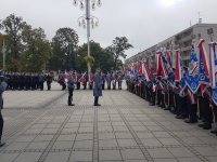 Przegląd pododdziałów