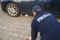 Policjant sprawdza ładunek