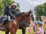 Na zdjęciu policyjne konie w trakcie pikniku dla dzieci.