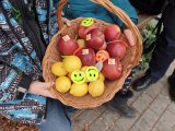 Na zdjęciu kosz owoców - jabłek i cytryn.