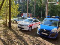 Na zdjęciu widoczne pojazdy straży miejskiej, straży pożarnej i Policji zaparkowane na terenie leśnego obozowiska.