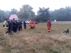 Na zdjęciu uczstnicy ćwiczeń w poszukiwaniu osób stojacy na polanie lasu.