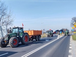 na zdjęciu widoczne są ciągniki rolnicze stojące na jezdni