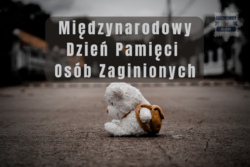 Na zdjęciu pluszowy miś siedzący na chodniku.