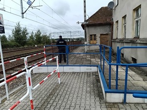 Na zdjęciu umundurowany policjant stojący na peronie kolejowym.