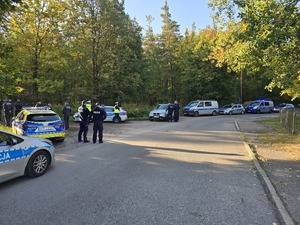 ulica na poboczu stoi kilka radiowozów jeden za drugi widoczny las i dukt leśny