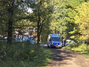 las dukt leśny na którym stoi samochód służby więzienne za nim radiowozy widoczny las